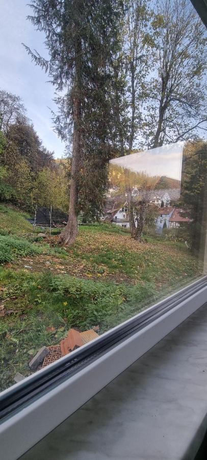 Sm Apartment Triberg im Schwarzwald Exterior foto